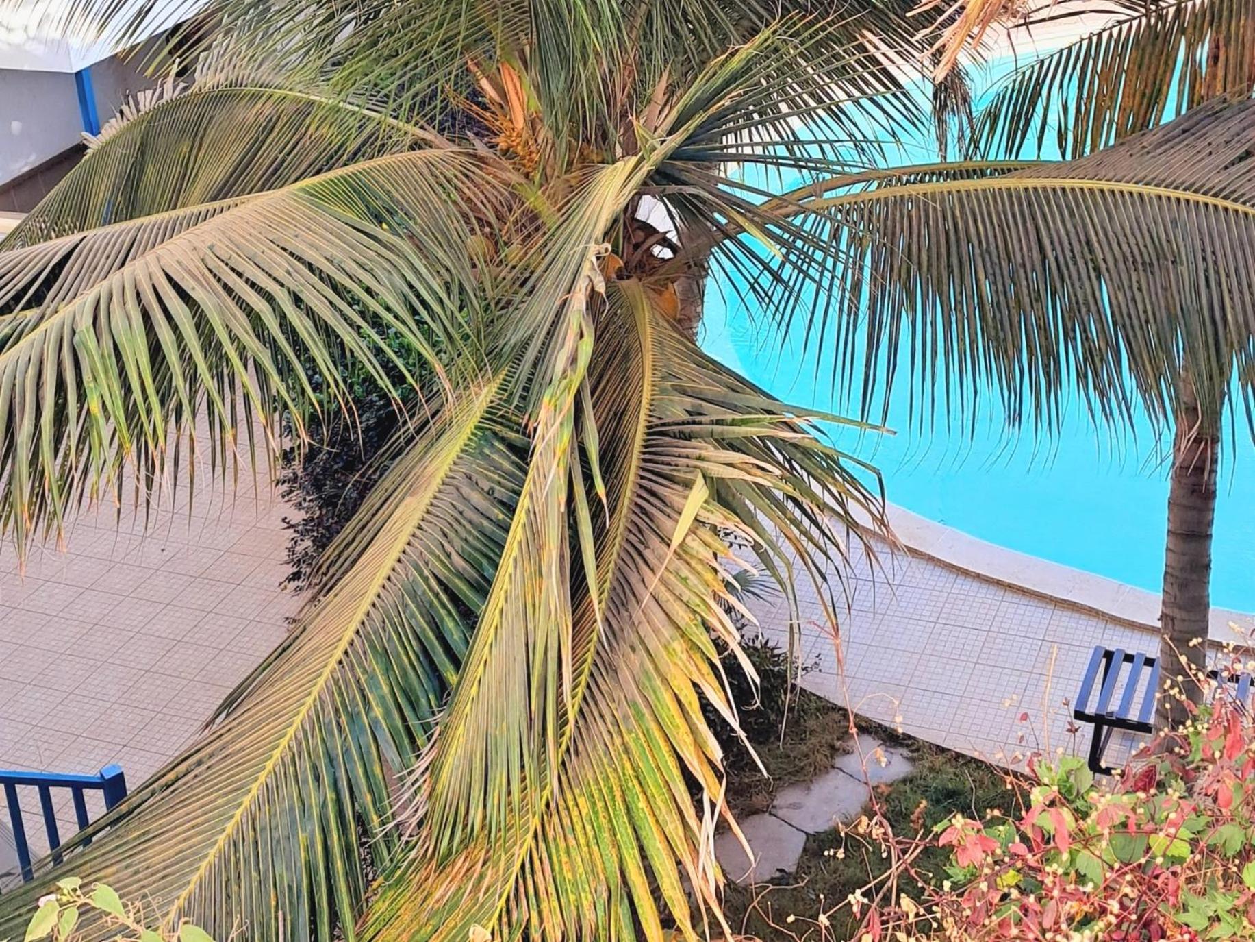 Sal Service Leme Bedje Residence Santa Maria Buitenkant foto